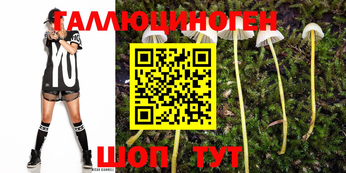 цены   Галлюциногенные грибы MAGIC MUSHROOMS  Псилоцибиновые грибы MAGIC MUSHROOMS  Вход с VPN  Ейск 